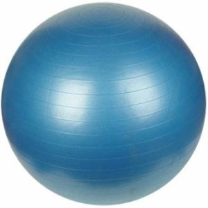 Sunny Health & Fitness Anit Burst Gym Ball